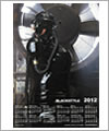 82132 Calendar 2012 - Bondage