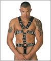 52002 Full body harness